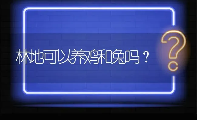 林地可以养鸡和兔吗? | 养殖问题解答