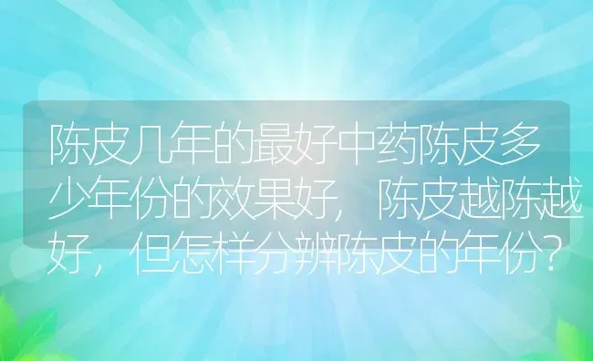 陈皮几年的最好中药陈皮多少年份的效果好,陈皮越陈越好，但怎样分辨陈皮的年份？ | 养殖常见问题