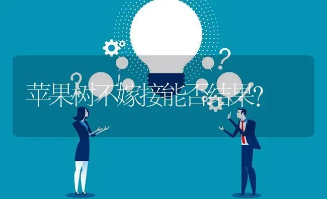 苹果树不嫁接能否结果? | 养殖问题解答