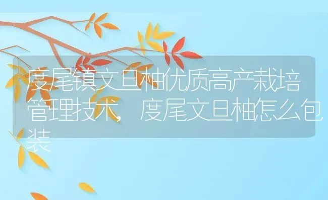 度尾镇文旦柚优质高产栽培管理技术,度尾文旦柚怎么包装 | 养殖常见问题