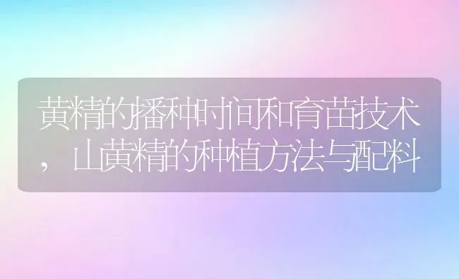 黄精的播种时间和育苗技术,山黄精的种植方法与配料 | 养殖常见问题