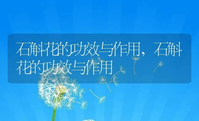 三七叶子长什么样,三七叶子长什么样 | 养殖常见问题