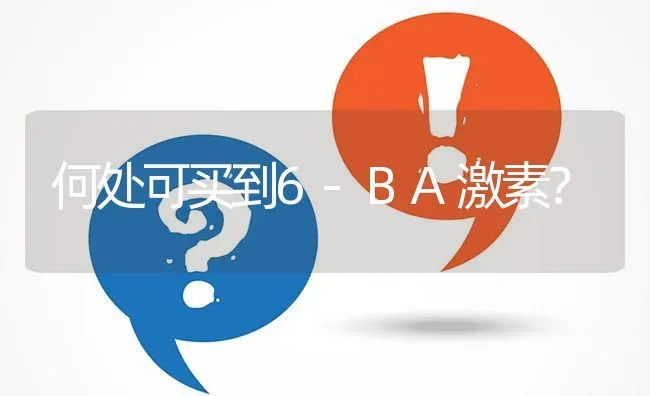 何处可买到6-BA激素? | 养殖问题解答