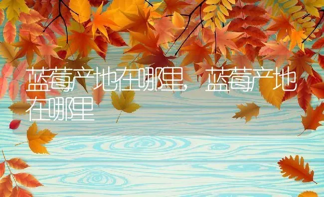 蓝莓产地在哪里,蓝莓产地在哪里 | 养殖常见问题