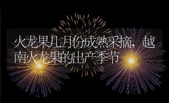 火龙果几月份成熟采摘,越南火龙果的出产季节 | 养殖常见问题
