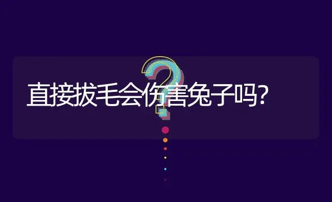 直接拔毛会伤害兔子吗? | 养殖问题解答