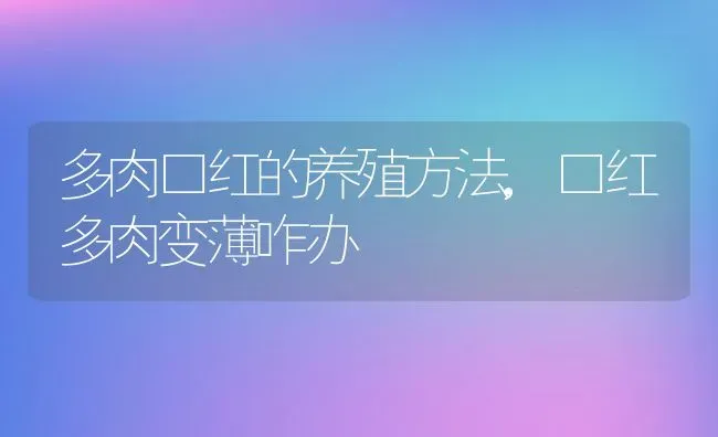 多肉如何养成老桩,多肉克拉夫怎么养成老桩？ | 养殖常见问题