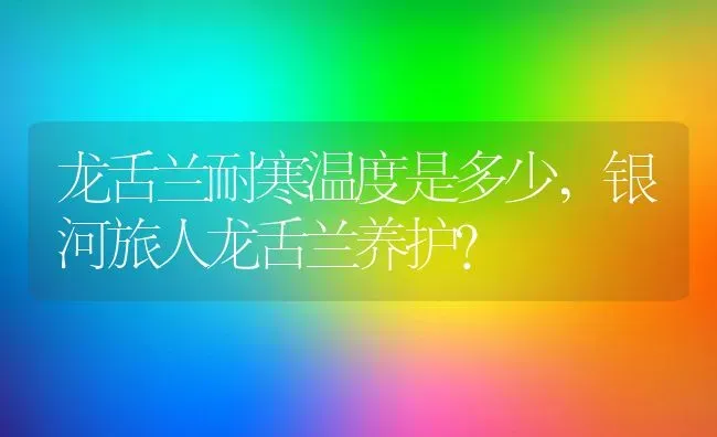龙舌兰耐寒温度是多少,银河旅人龙舌兰养护？ | 养殖常见问题