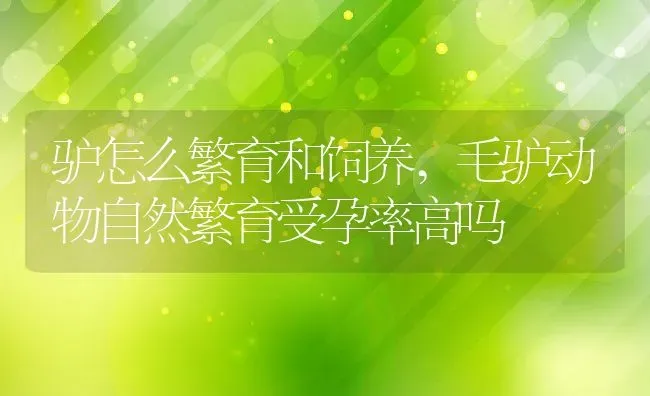 驴怎么繁育和饲养,毛驴动物自然繁育受孕率高吗 | 养殖常见问题