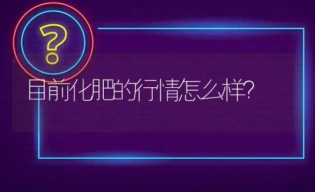 目前化肥的行情怎么样? | 养殖问题解答