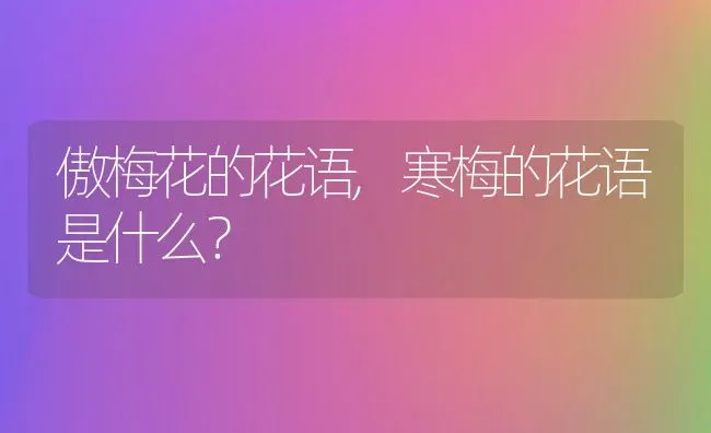 傲梅花的花语,寒梅的花语是什么？ | 养殖常见问题