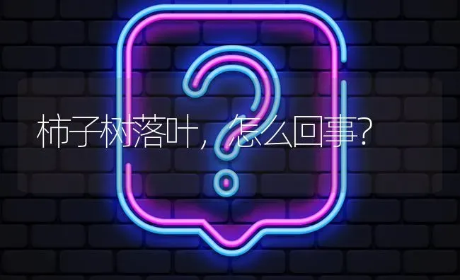 柿子树落叶,怎么回事? | 养殖问题解答