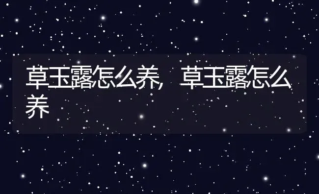 草玉露怎么养,草玉露怎么养 | 养殖常见问题