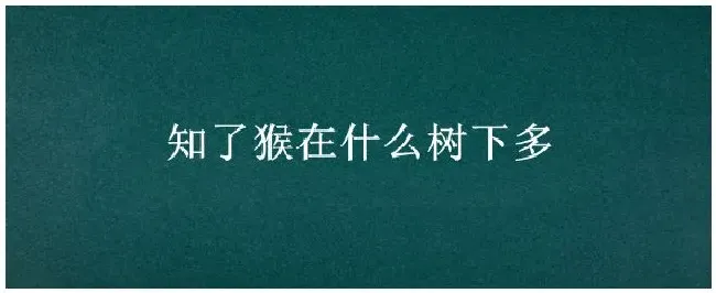 知了猴在什么树下多 | 三农问答