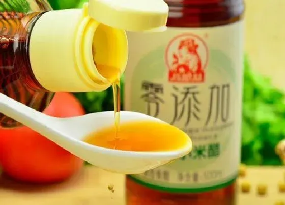 植物常识问题|米醋浇花的方法和好处