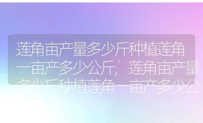 莲角亩产量多少斤种植莲角一亩产多少公斤,莲角亩产量多少斤种植莲角一亩产多少公斤 | 养殖常见问题