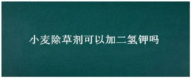 小麦除草剂可以加二氢钾吗 | 农业常识