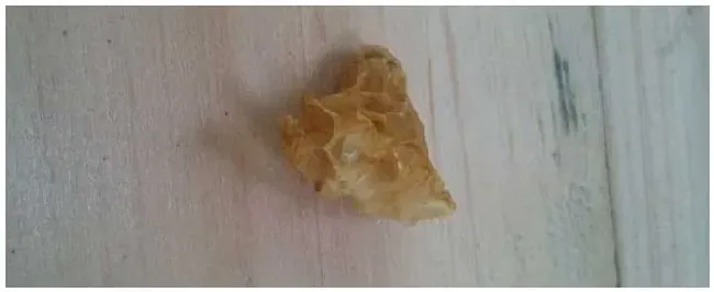 中蜂王台多久看一次？ | 科普知识