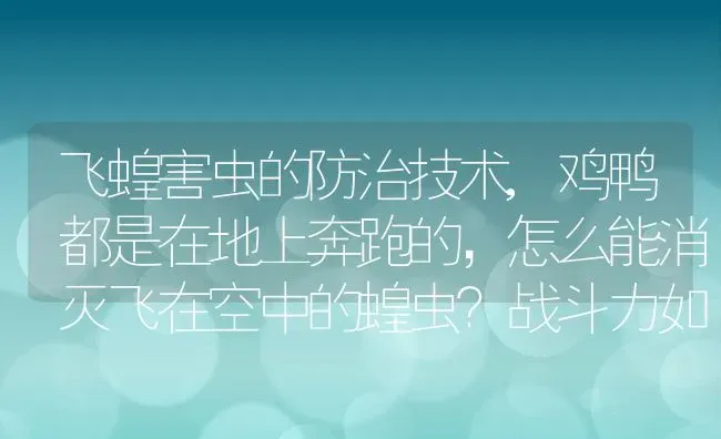 飞蝗害虫的防治技术,鸡鸭都是在地上奔跑的，怎么能消灭飞在空中的蝗虫？战斗力如何 | 养殖常见问题