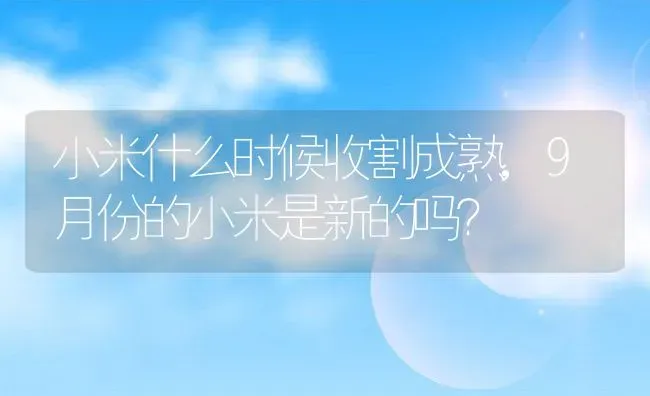 小米什么时候收割成熟,9月份的小米是新的吗？ | 养殖常见问题