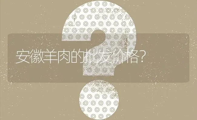 安徽羊肉的批发价格? | 养殖问题解答