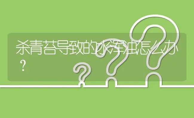 杀青苔导致的水浑浊怎么办? | 养殖问题解答