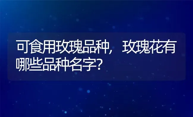 可食用玫瑰品种,玫瑰花有哪些品种名字？ | 养殖常见问题