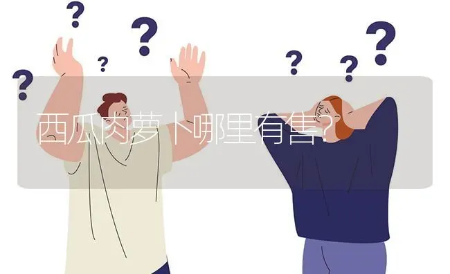 西瓜肉萝卜哪里有售? | 养殖问题解答