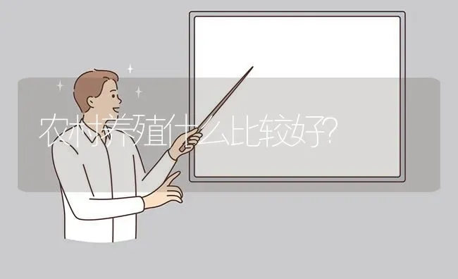 农村养殖什么比较好? | 养殖问题解答