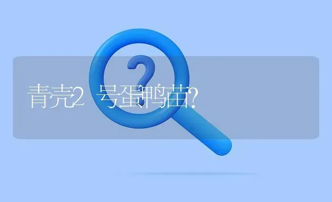 青壳2号蛋鸭苗? | 养殖问题解答