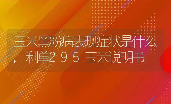 玉米黑粉病表现症状是什么,利单295玉米说明书 | 养殖常见问题