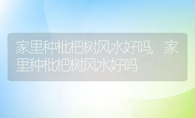 家里种枇杷树风水好吗,家里种枇杷树风水好吗 | 养殖常见问题