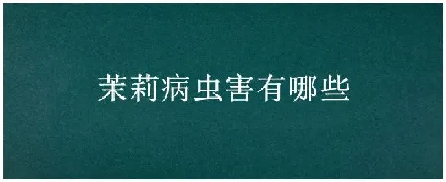 茉莉病虫害有哪些 | 三农问答