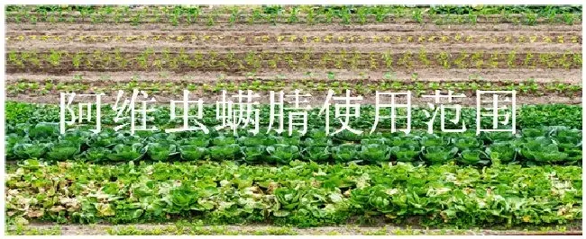 阿维虫螨腈使用范围 | 农业答疑