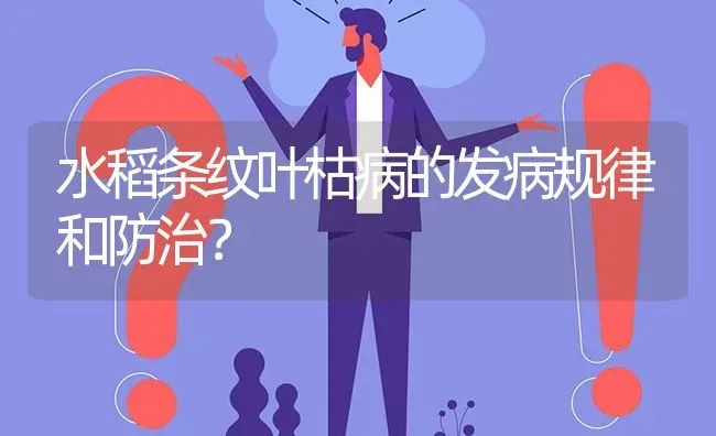 水稻条纹叶枯病的发病规律和防治? | 养殖问题解答