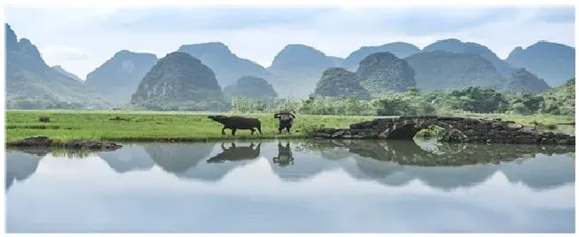 一年四季的农事有什么 | 三农答疑