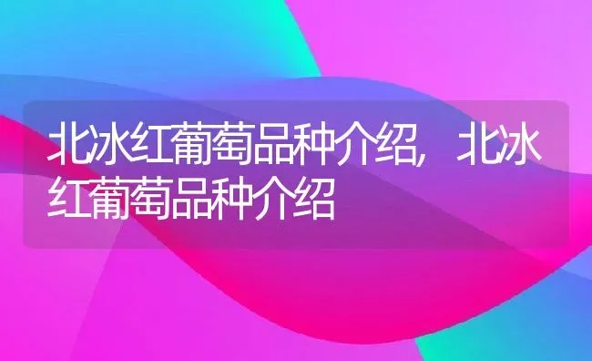 北冰红葡萄品种介绍,北冰红葡萄品种介绍 | 养殖常见问题