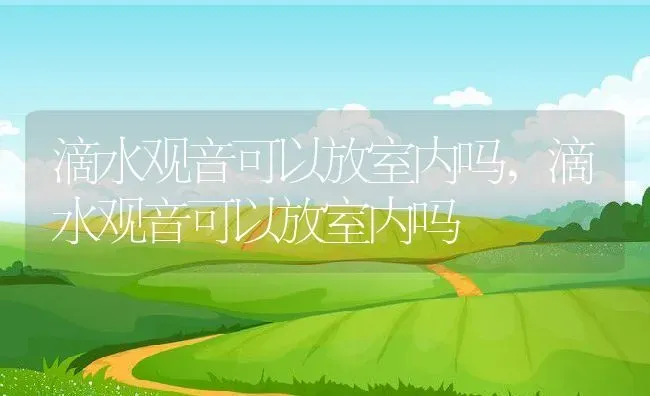 滴水观音可以放室内吗,滴水观音可以放室内吗 | 养殖常见问题