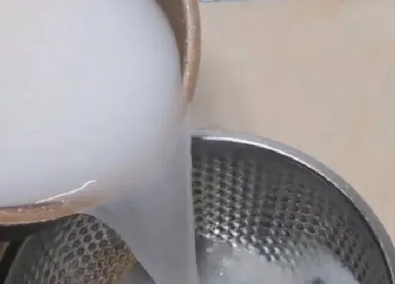 植物常识问题|如何用淘米水浇兰花补水补肥又杀菌