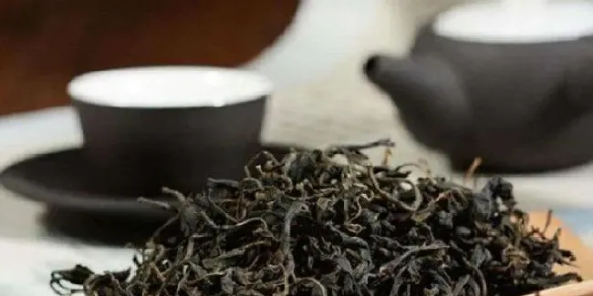 植物常识问题|古树茶的功效与作用