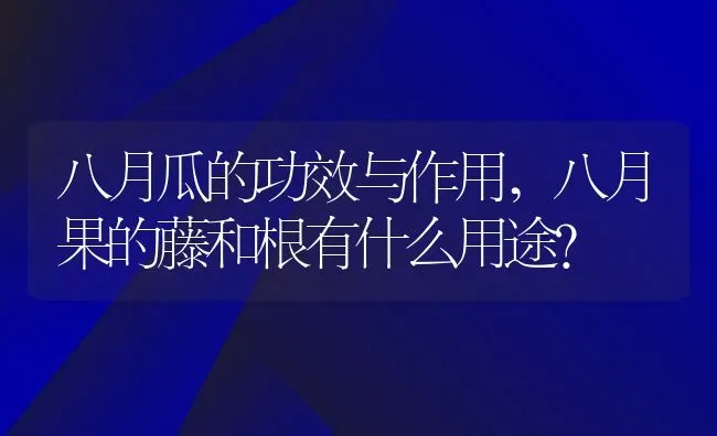 八月瓜的功效与作用,八月果的藤和根有什么用途？ | 养殖常见问题