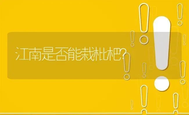 江南是否能栽枇杷? | 养殖问题解答