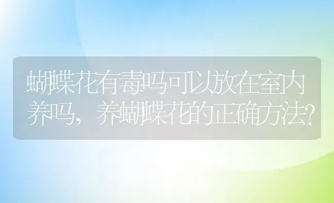 蝴蝶花有毒吗可以放在室内养吗,养蝴蝶花的正确方法？ | 养殖常见问题