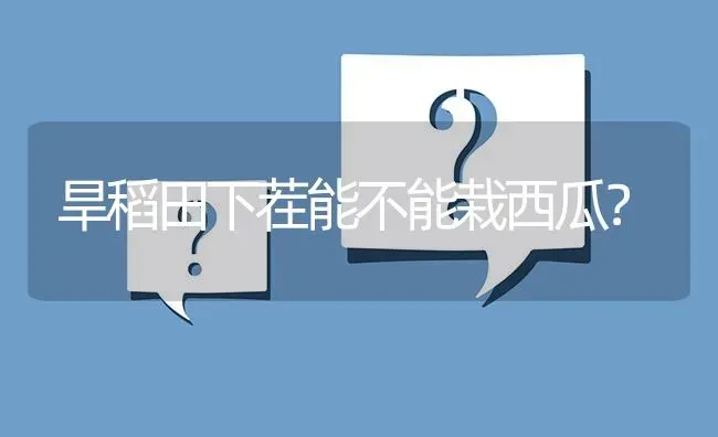 旱稻田下茬能不能栽西瓜? | 养殖问题解答