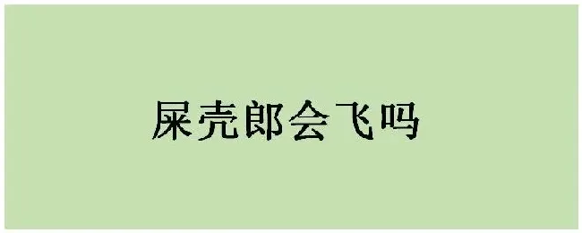 屎壳郎会飞吗 | 三农答疑