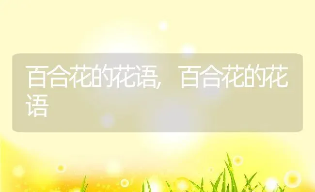 百合花的花语,百合花的花语 | 养殖常见问题