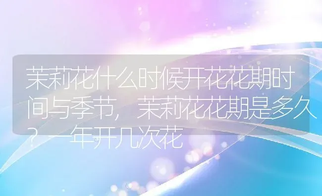 茉莉花什么时候开花花期时间与季节,茉莉花花期是多久？一年开几次花 | 养殖常见问题