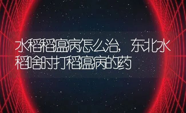 水稻稻瘟病怎么治,东北水稻啥时打稻瘟病的药 | 养殖常见问题