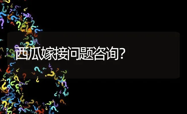 西瓜嫁接问题咨询? | 养殖问题解答