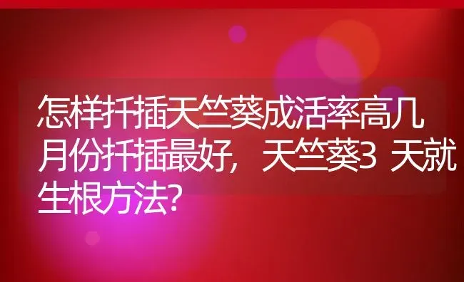 怎样扦插天竺葵成活率高几月份扦插最好,天竺葵3天就生根方法？ | 养殖常见问题